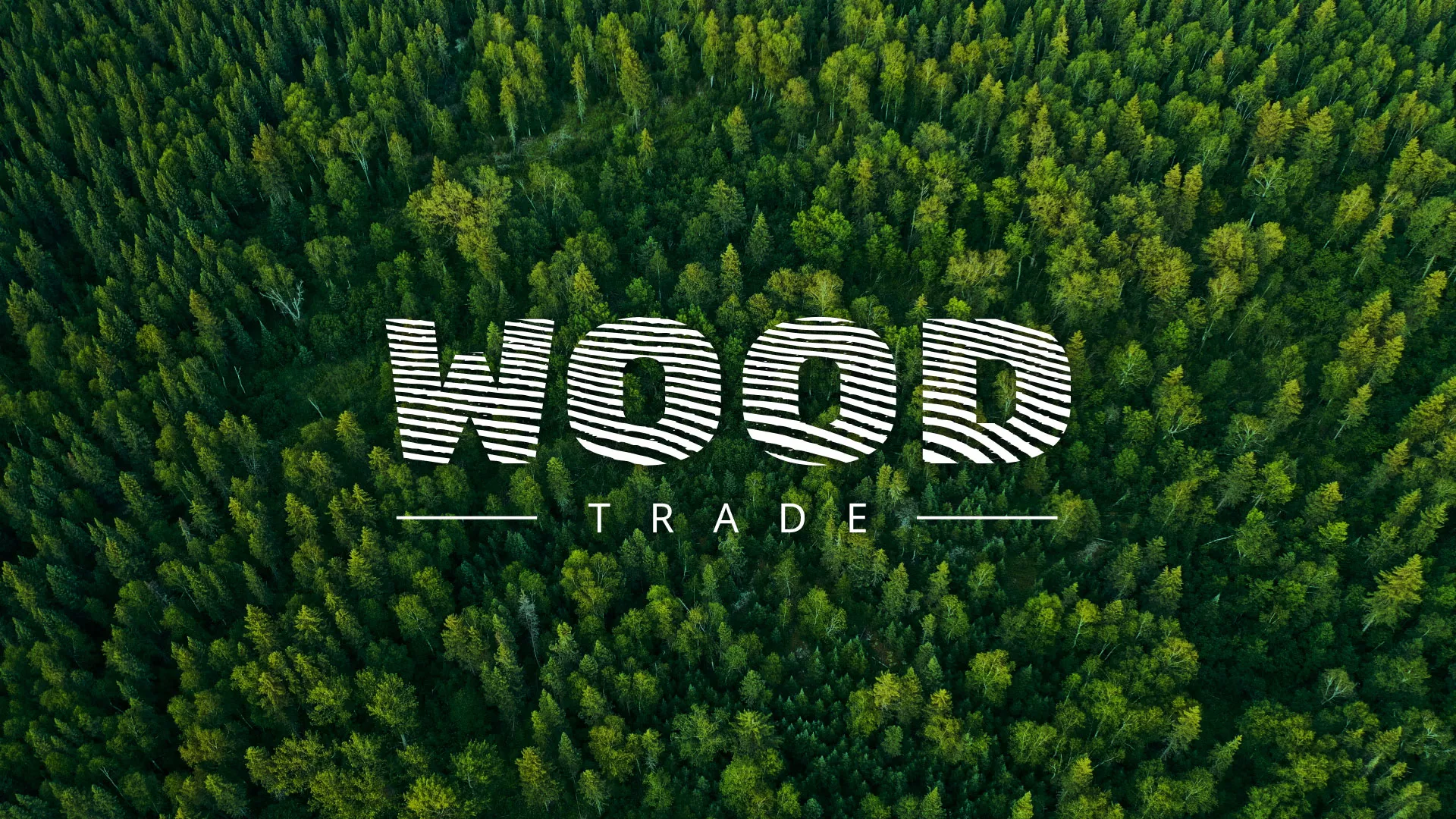 Разработка интернет-магазина компании «Wood Trade» в Элисте